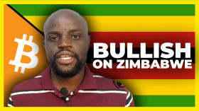 BULLISH On Zimbabwe w/ Kuda by The Anita Posch Show - Bitcoin for Fairness
