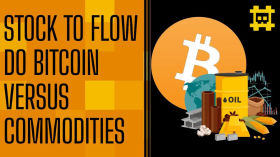 Stock to Flow de algumas commodities comparado ao bitcoin - [CORTE] by HASH - Cortes bitcoinheiros