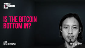 Is the Bitcoin Bottom in? with Willy Woo by What Bitcoin Did