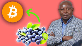 EARN Bitcoin With Blueberries | Dr. Edwin Moyo | The Anita Posch Show #159 by The Anita Posch Show - Bitcoin for Fairness