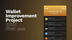 Wallet Improvement Project: Blixt first use review by Bitcoin Design Community