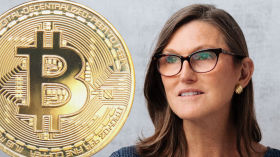 Cathie Wood on Bitcoin as The Reserve Currency of The Crypto Asset Economy - 4/12/2021 - Video Banned From YouTube by BITCOIN