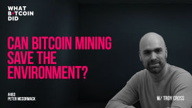 Can Bitcoin Mining Save the Environment? With Troy Cross by What Bitcoin Did